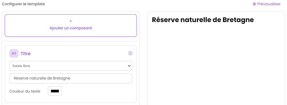 Configurer un template - Valeur saisie libre