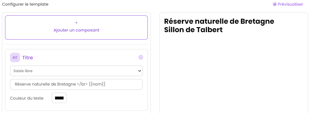 Configurer un template - Valeur saisie libre mst